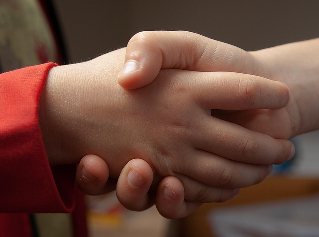 Die Schulpartnerschaft im Qualitätsrahmen für Schulen (QR)