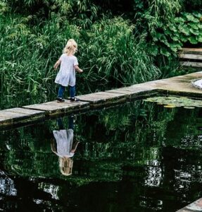 Mehr über den Artikel erfahren SPF – Unsere Kinder brauchen Unterstützung JETZT und nicht irgendwann!